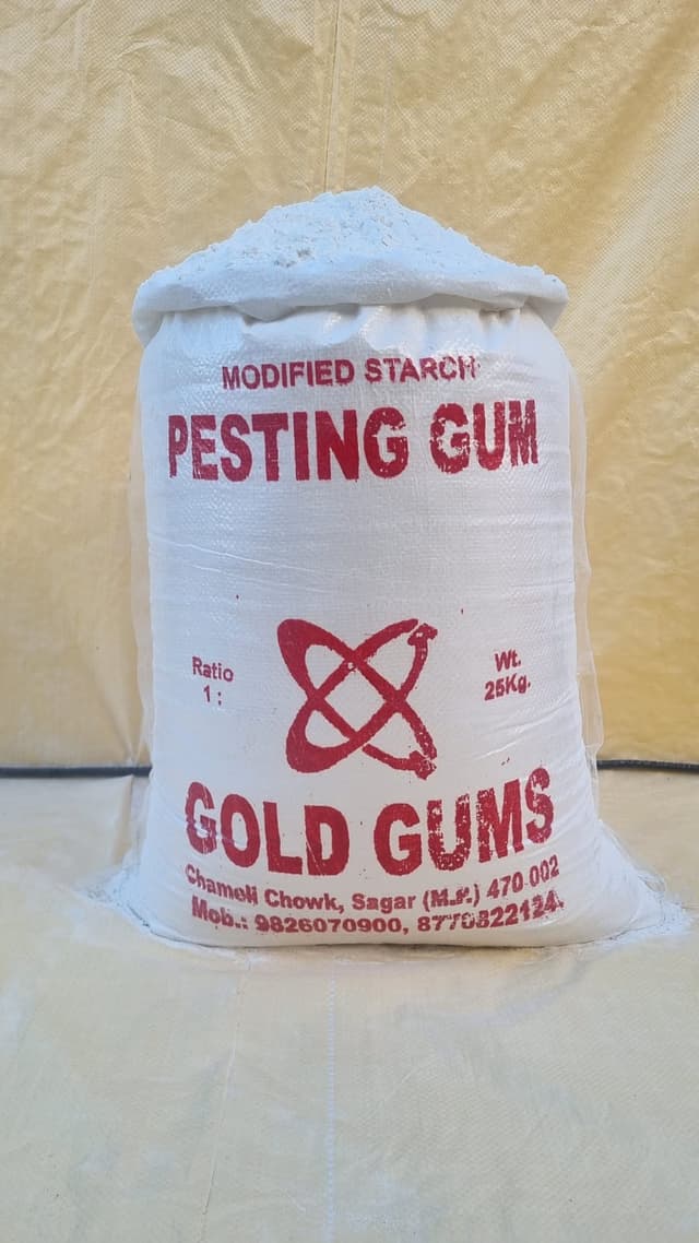 Pesting Gum Regular
